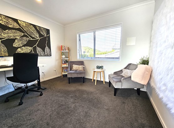 Private Office / Consult Room